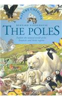 The Poles