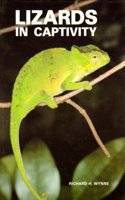 Lizards in Captivity