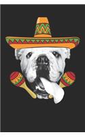 English Bulldog Notebook 'Cinco De Mayo' - Gift for English Bulldog Lovers - English Bulldog Journal