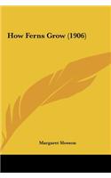 How Ferns Grow (1906)