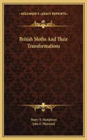 British Moths And Their Transformations