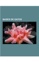Bases de Datos: Base de Datos, Almacen de Datos, Base de Datos de Tablas de Finales, Bases de Datos Distribuidas, Mineria de Datos, Si(Spanish)