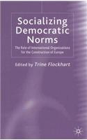 Socializing Democratic Norms