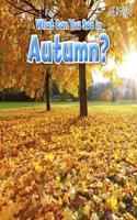 What Can You See In Autumn?: (Seasons)