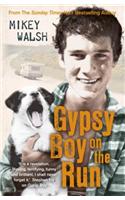Gypsy Boy on the Run
