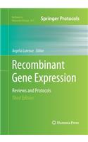 Recombinant Gene Expression