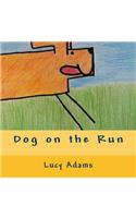 Dog on the Run