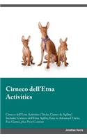Cirneco dell'Etna Activities Cirneco dell'Etna Activities (Tricks, Games & Agility) Includes