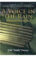 Voice In the Rain