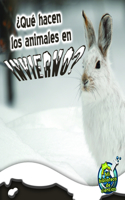 Qué Hacen Los Animales En Invierno?: What Do Critters Do in the Winter?