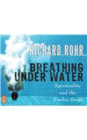 Breathing Under Water: Spirituality and the Twelve Steps