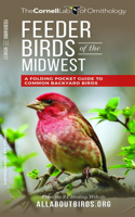 Feeder Birds of the Midwest