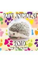 Baby Animals! 2019 Mini Wall Calendar
