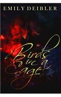 Birds in a Cage
