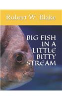 Big Fish in a Little Bitty Stream
