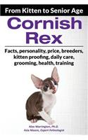 Cornish Rex: From Kitten to Senior Age