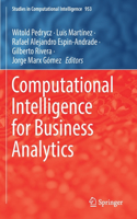 Computational Intelligence for Business Analytics