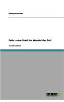 Peitz - eine Stadt im Wandel der Zeit