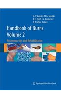 Handbook of Burns, Volume 2