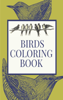 Birds Coloring Book