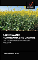 Zachowanie Agronomiczne Crambe