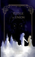 Pledge of Union