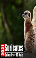 Calendrier 2021 Suricates