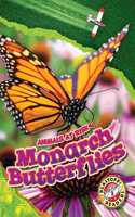 Monarch Butterflies: (Animals at Risk)