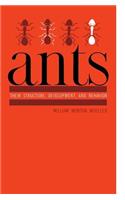 Ants