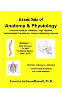 Essentials of Anatomy and Physiology, A Review Guide, Module 1
