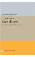 Consumer Expenditures: New Measures and Old Motives(Princeton Legacy Library)