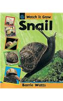 Watch It Grow: Snail