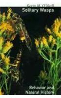 Solitary Wasps