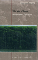 The Idea of Form: Rethinking Kant's Aesthetics(Cultural Memory in the Present)