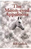 Moon-Eyed Appaloosa