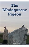 Madagascar Pigeon