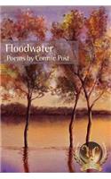Floodwater