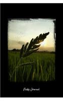 Paddy Journal: Dot Grid Journal - Paddy Field Sunset Golden-Hour Light Grass Farm - black Dotted Diary, Planner, Gratitude, Writing, Travel, Goal, Bullet Notebook 