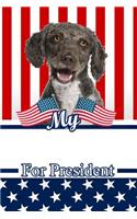 My Spanish Water Spaniel for President