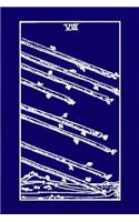 VIII
