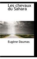 Les Chevaux Du Sahara