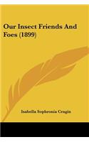 Our Insect Friends And Foes (1899)