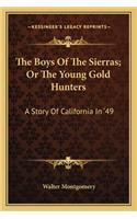 Boys Of The Sierras; Or The Young Gold Hunters