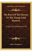 The Boys Of The Sierras; Or The Young Gold Hunters