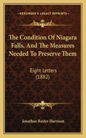 Condition Of Niagara Falls, And The Measures Needed To Preserve Them