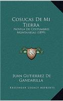 Cosucas de Mi Tierra: Novela de Costumbres Montanesas (1899)