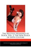The Multiple Meanings of Black, Vol. 2