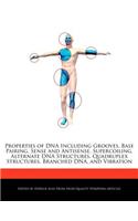Properties of DNA Including Grooves, Base Pairing, Sense and Antisense, Supercoiling, Alternate DNA Structures, Quadruplex Structures, Branched Dna, and Vibration