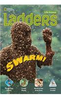 Ladders Science 5: Swarm! (on-level)