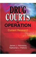 Drug Courts in Operation